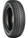 205/45R17 88V GRIPMAX SUREGRIP EWINTER XL