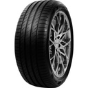 215/45R17 91W DELINTE DS2 XL
